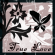 myspace layouts, myspace codes, glitter graphics
