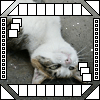 myspace layouts, myspace codes, glitter graphics
