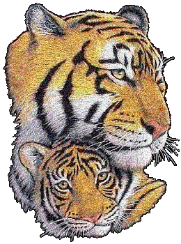 tigri glitter_7