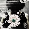 myspace layouts, myspace codes, glitter graphics