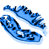 http://dl10.glitter-graphics.net/pub/747/747980j18zanq0dq.gif